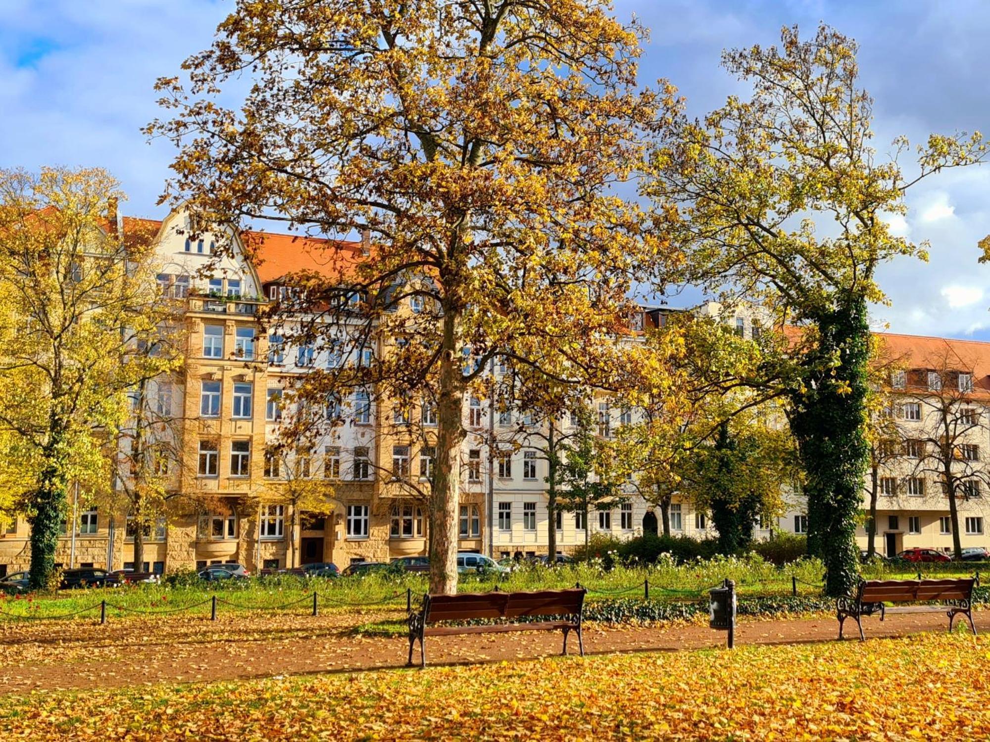 Kleinod Am Park - Zentrum-Suedost Apartment Leipzig Luaran gambar